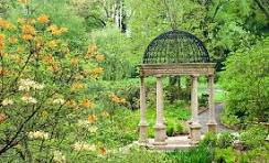 تصویر مزرعه ۳